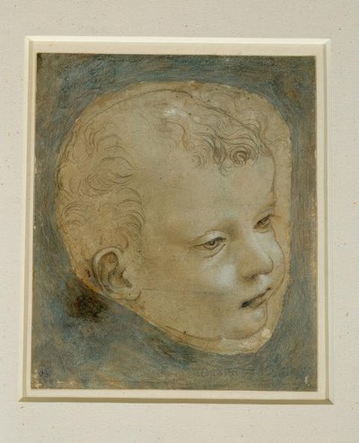 Study Head of a Boy in Three-Quarter Profile to the Right by Leonardo da Vinci